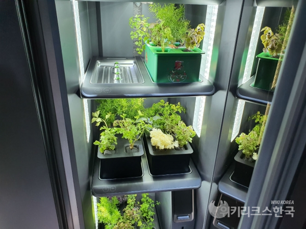 CES 2020에 전시된 삼성전자의 가정용 식물재배기. 일반에는 공개되지 않았다. [사진=정예린 기자]