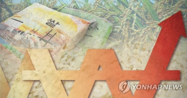 쌀 가격 상승(PG) [출처=연합뉴스]