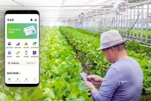농민이 그린랩스의 원스톱 서비스 ‘팜모닝(Farm Morning)’ 앱을 이용해 작황을 점검하고 있다. 팜모닝에 가입한 농민은 농창업, 작물재배 컨설팅, 신선마켓 관련 서비스를 이용할 수 있다.