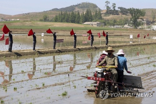 9일 북한 남포시 강서구의 한 집단농장에서 농민들이 모내기에 나서고 있다. [출처=연합]