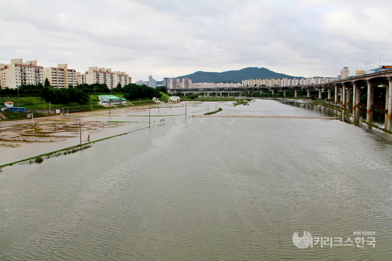 탄천 송파구 구간에 있는 서울 강남운전면허시험장이 물에 잠겼다. [출처=정수남 기자]