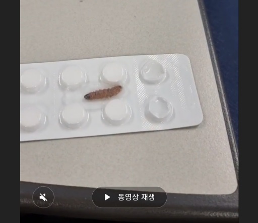 A snapshot of the video clip sent to WikiLeaks Korea by Daegu resident A. In this clip, a live worm is visible in the antihypertensive medicine ‘Norvasc’.