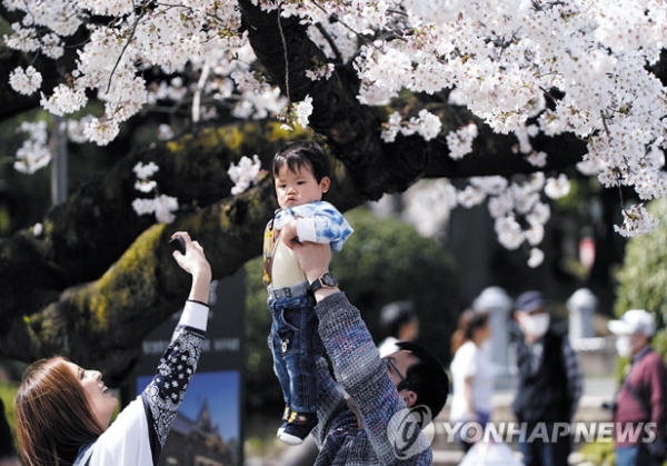 지난해 봄, 아이를 안고 벚꽃 구경을 나온 도쿄의 한 가족 [사진 = 연합뉴스]