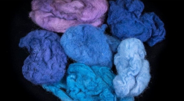 Wool dyed in various colors extracted from the Murex trunculus snail. (Moshe Cain)