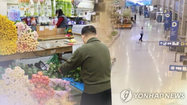 "이런 때는 처음"…소비 급감에 꽃값, 여행비 '뚝' [연합뉴스TV 제공]