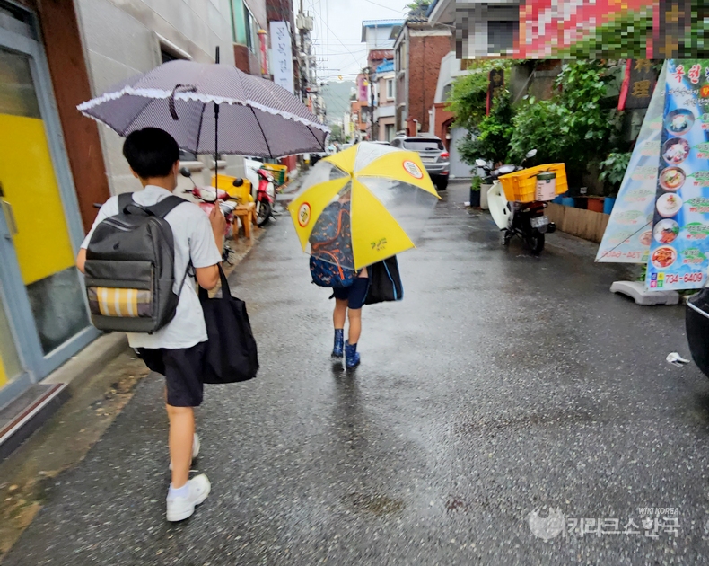 한 어린이가 스쿨존 주행 속도인 시속 30㎞가 찍힌 투명 우산을 쓰고 등교하고 있다. [출처=위키리크스한국]